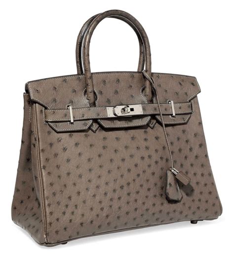 hermes birkin ostrich graphite|ostrich Hermes bags price.